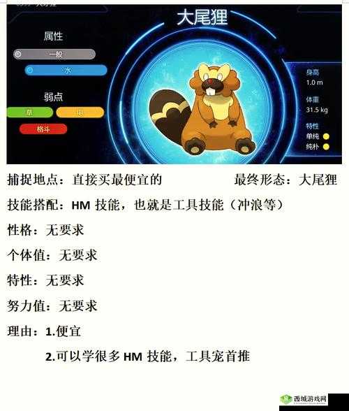 艾尔之光宠物进化全攻略！爆肝整理必看技巧，轻松解锁神宠
